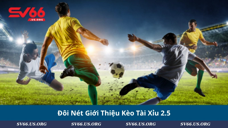 Đôi Nét Giới Thiệu Kèo Tài Xỉu 2.5