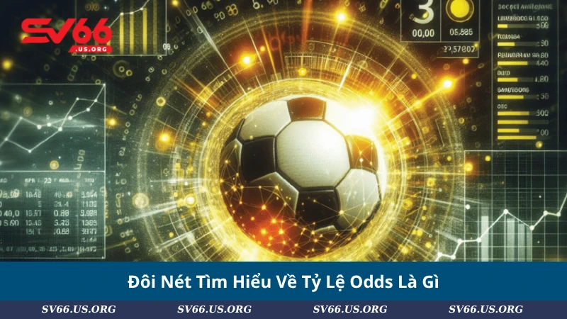 Đôi Nét Tìm Hiểu Về Tỷ Lệ Odds Là Gì
