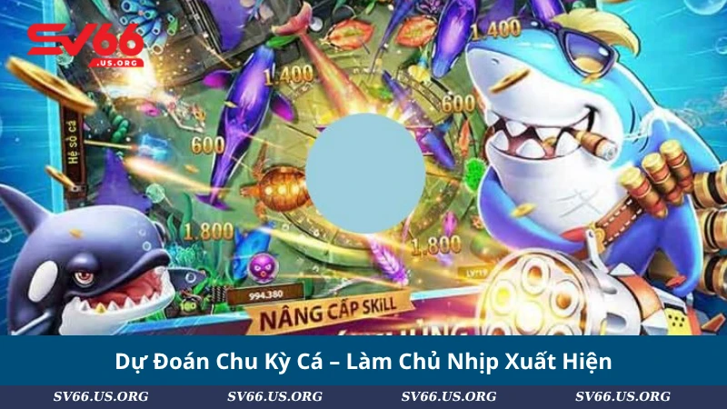 Dự Đoán Chu Kỳ Cá – Làm Chủ Nhịp Xuất Hiện