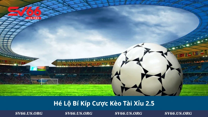 Hé Lộ Bí Kíp Cược Kèo Tài Xỉu 2.5