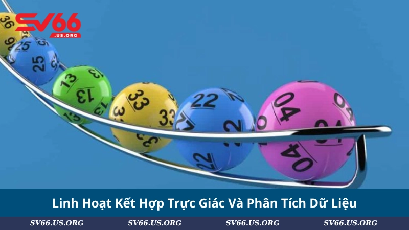 Linh Hoạt Kết Hợp Trực Giác Và Phân Tích Dữ Liệu