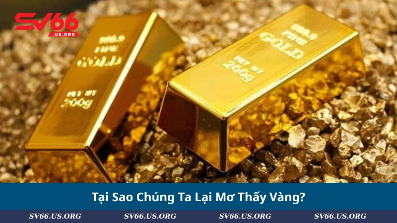Tại Sao Chúng Ta Lại Mơ Thấy Vàng?