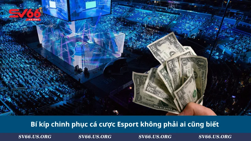 Bí kíp chinh phục cá cược Esport không phải ai cũng biết