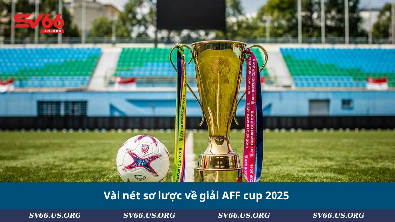 Vài nét sơ lược về giải AFF cup 2025